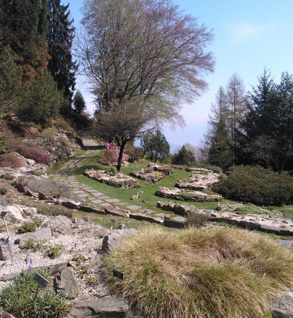 @ Botanische tuin Alpinia